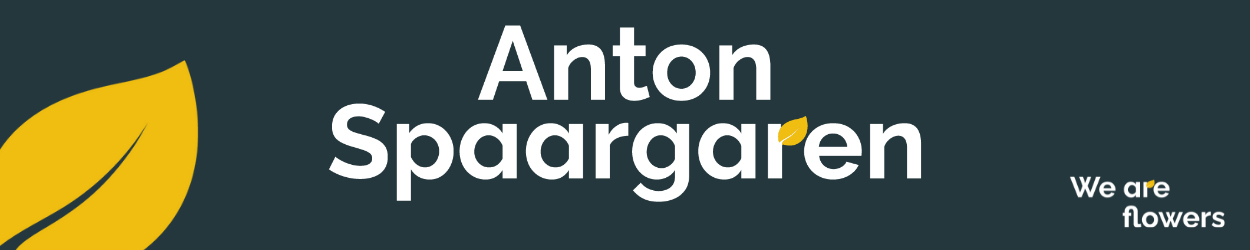 Anton Spaargaren Banner on Thursd 2022-01