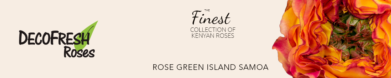 Decofresh Rose Green Island Samoa banner on Thursd