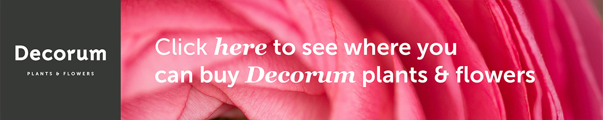 Decorum banner