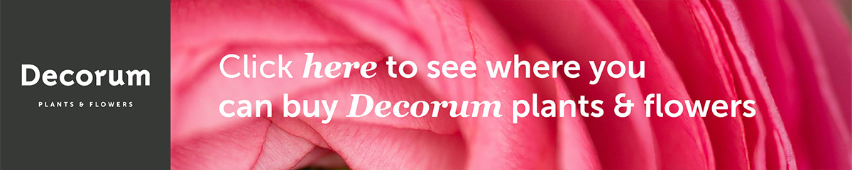 Decorum red banner on Thursd