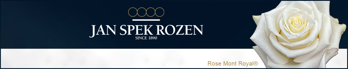 Jan Spek Rozen banner Rose Mont Royal