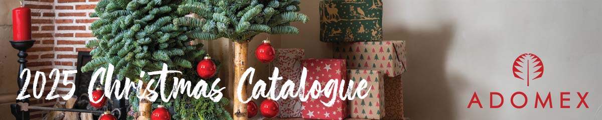 Banner AdomexChristmas 2025