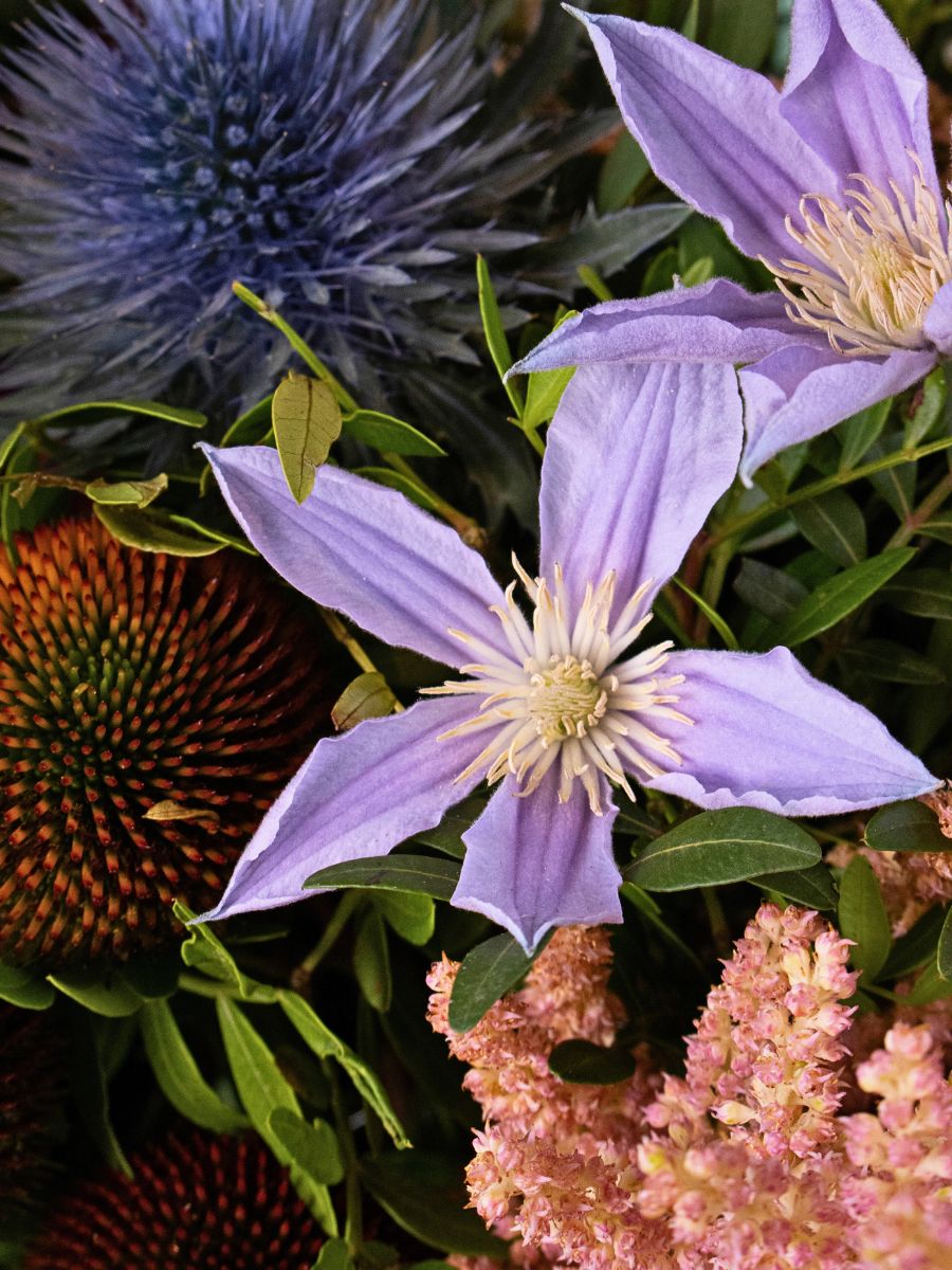 Marginpar&rsquo;s Floral Trends 2026 Feature the Vision of Mike Boerma - Thursd Article