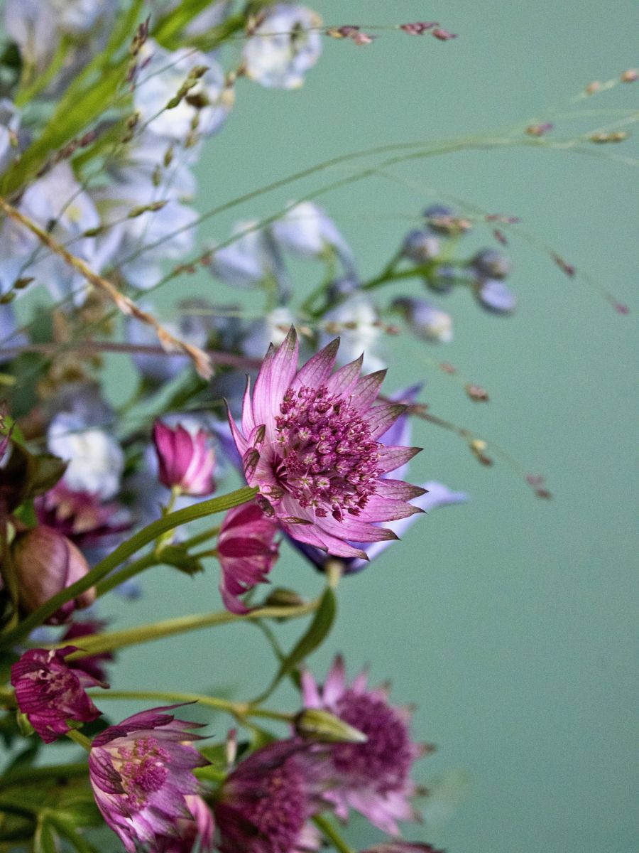 The Silhouette Marginpar’s Floral Trends 2026 Feature the Vision of Mike Boerma - Thursd Article