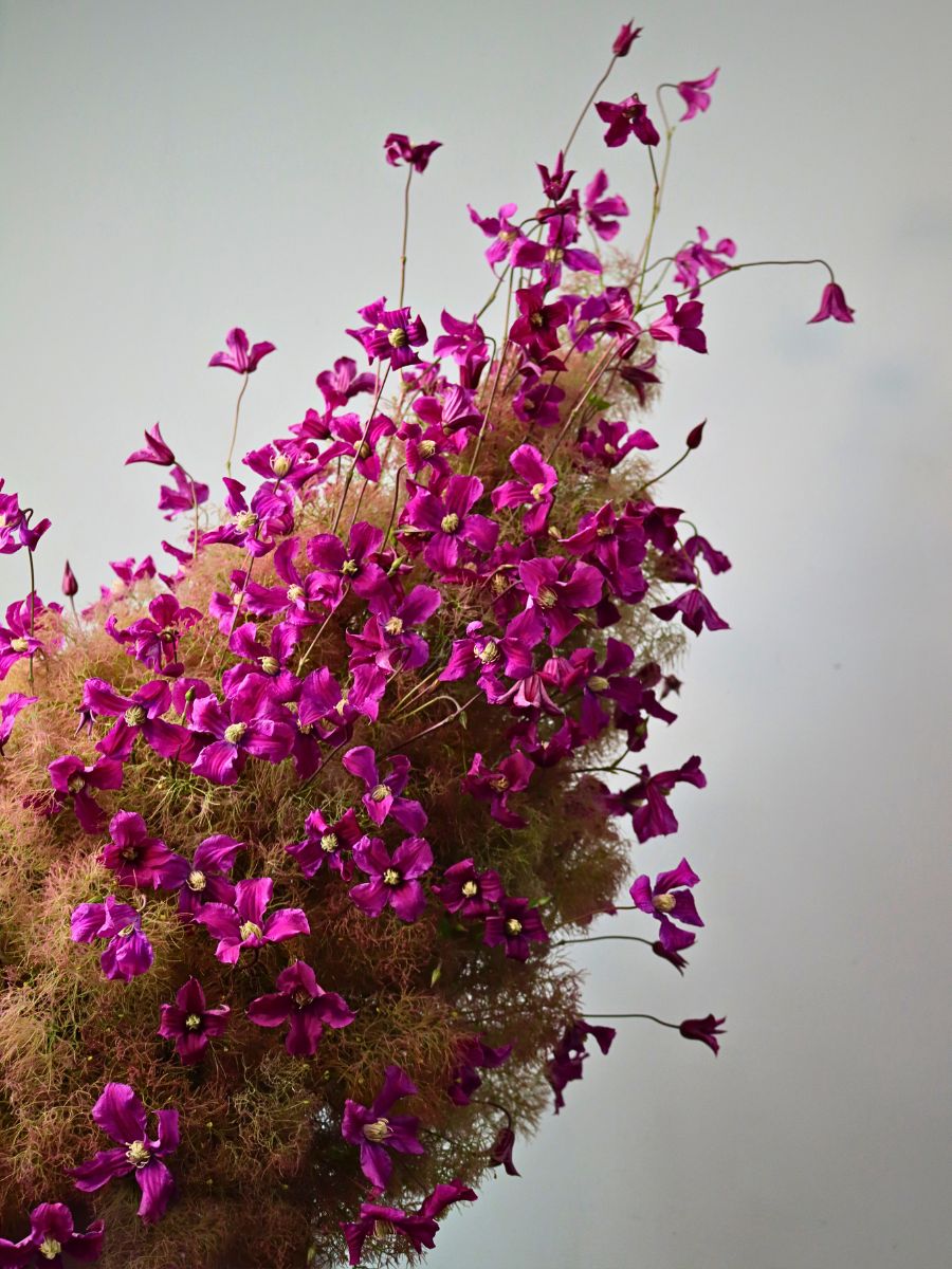 That New Insta Style Marginpar’s Floral Trends 2026 Feature the Vision of Mike Boerma - Thursd Article