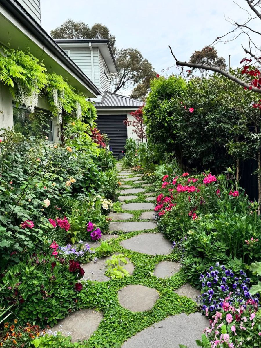 A green garden pathway in shade