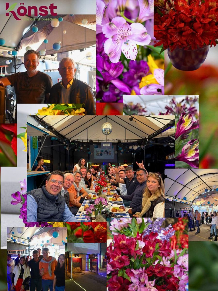 Könst Alstroemeria Celebrates a Week of Progress and Connection in Colombia