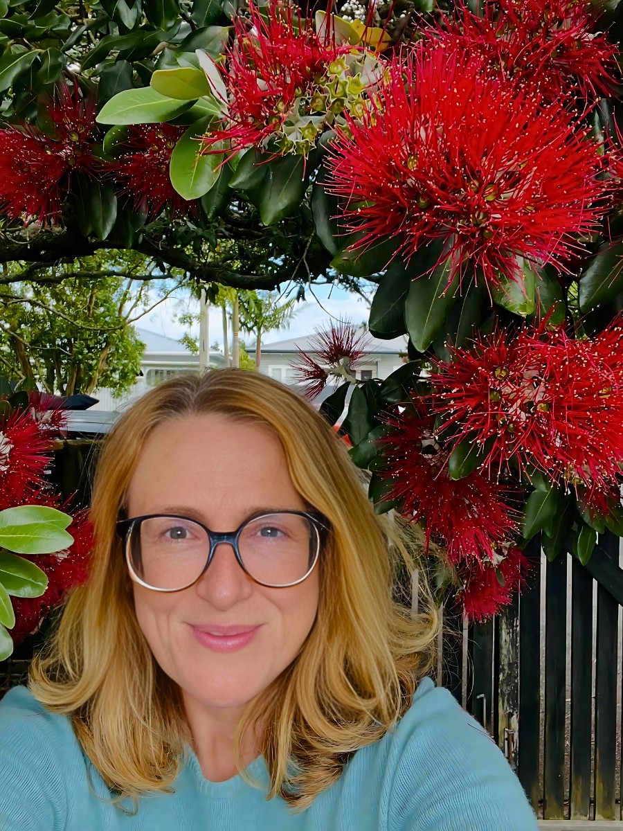Pōhutukawa, the Crimson Christmas Tree of Aotearoa