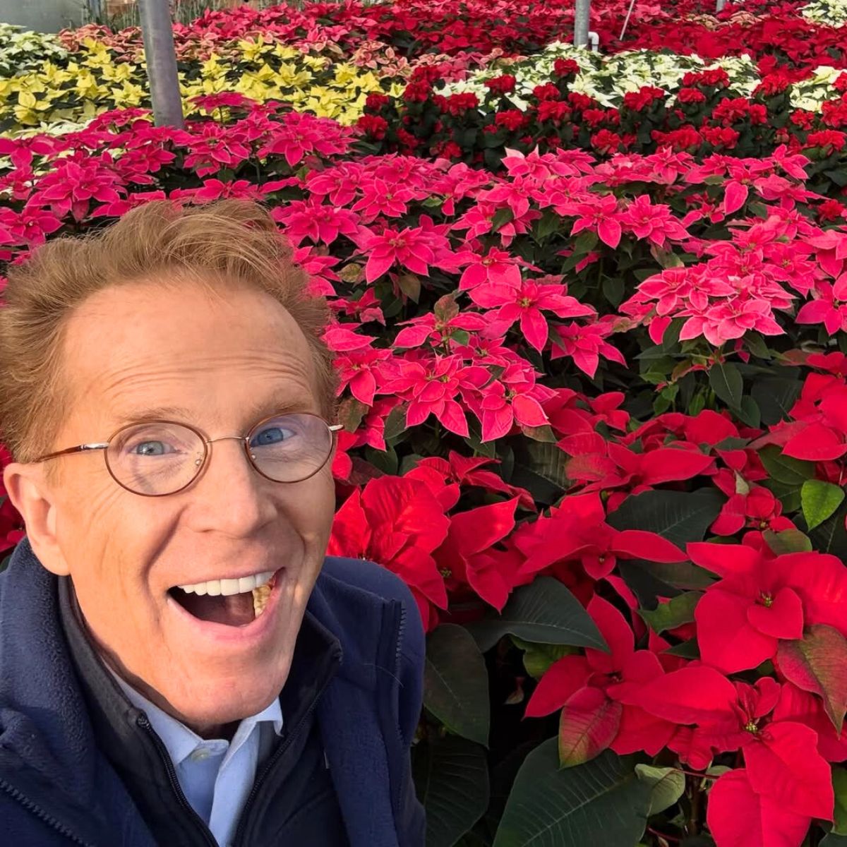 A guy visiting a poinsettia nursery