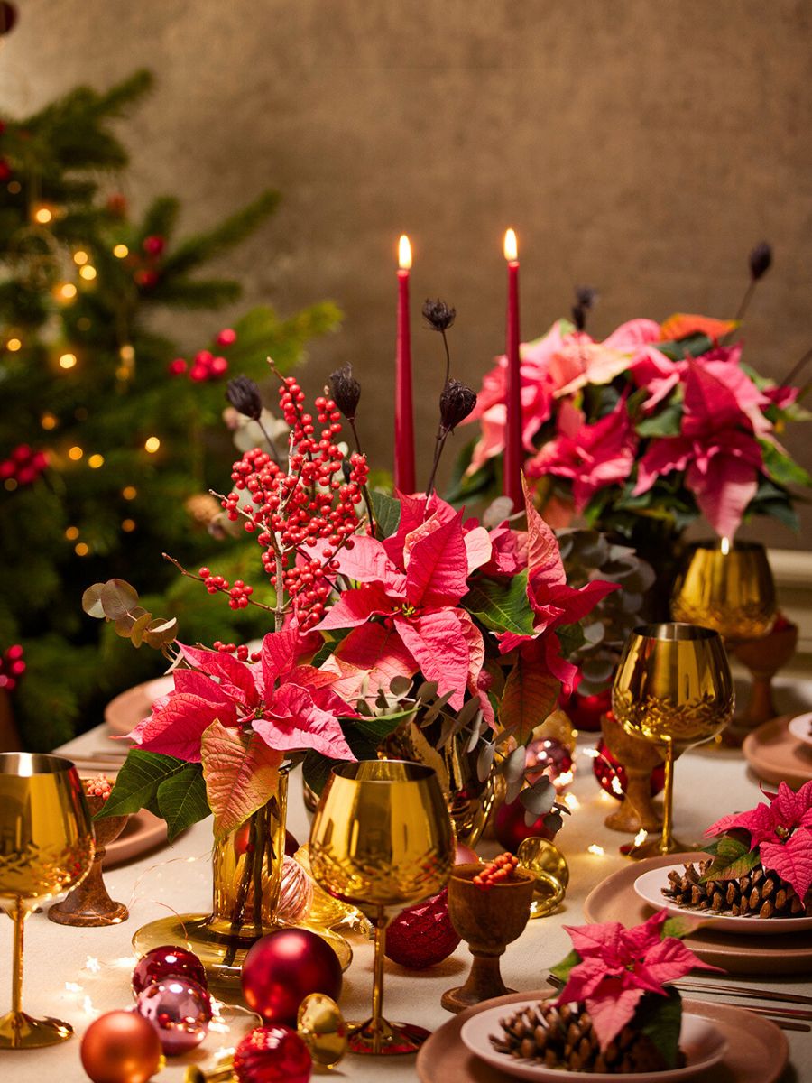 Poinsettia flowers decorating a table