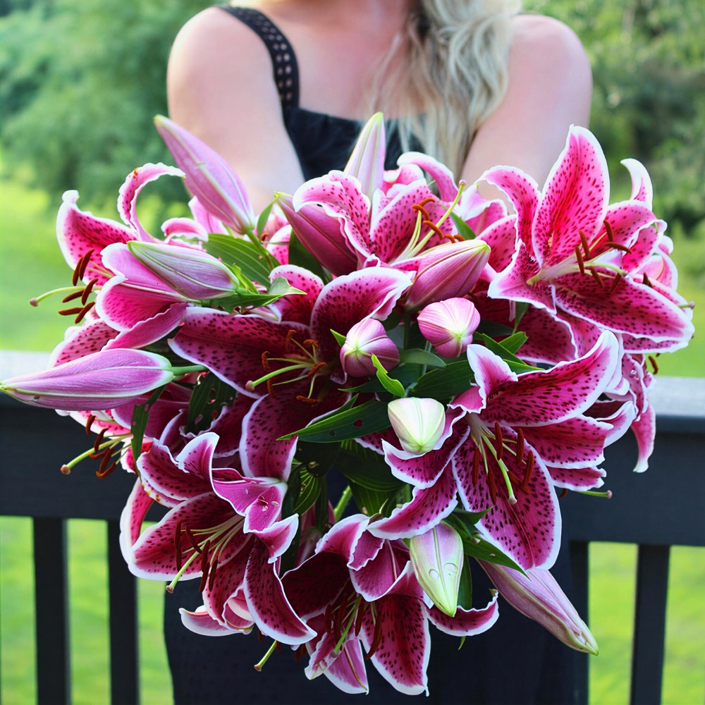 Stargazer lilies bouquet