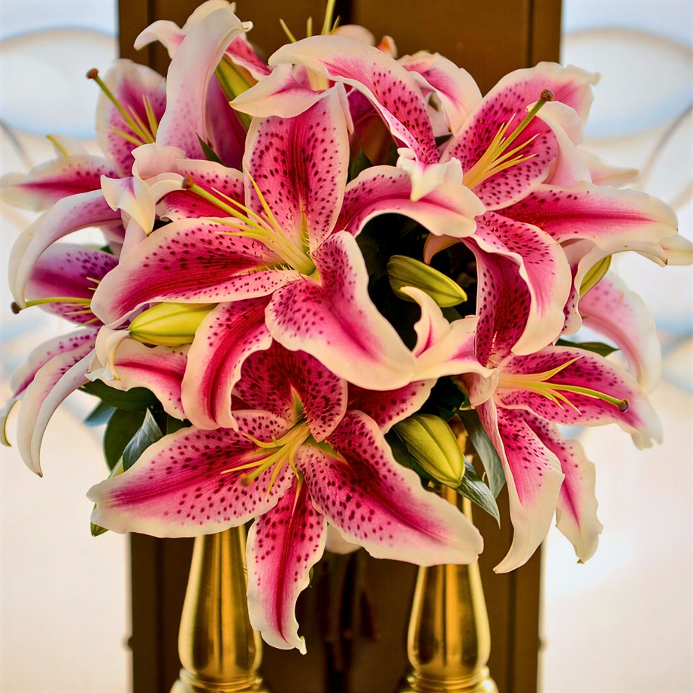 stargazers get more in trend as spring wedding flowers and are used in various wedding bouquets during the season