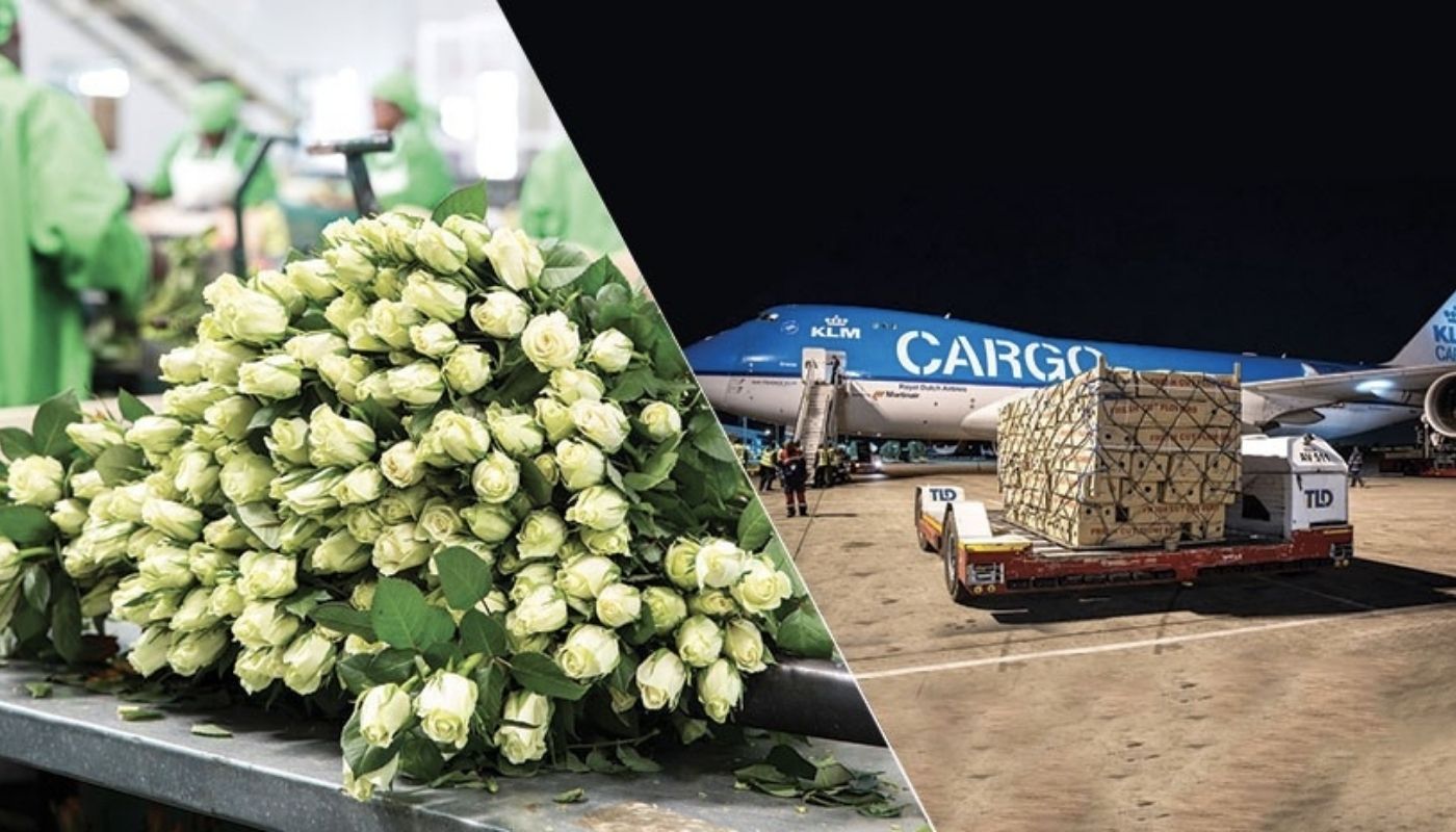 Valentine's Day 2021 and The Complexity of the Flower Supply Chain - Shabistan Khan on Thursd. Transport