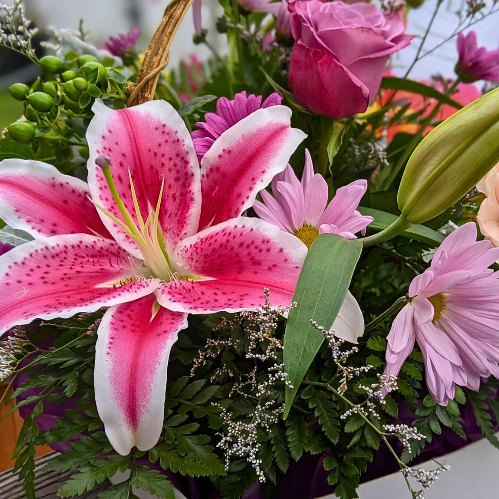 Stargazer Lily Flower Meaning