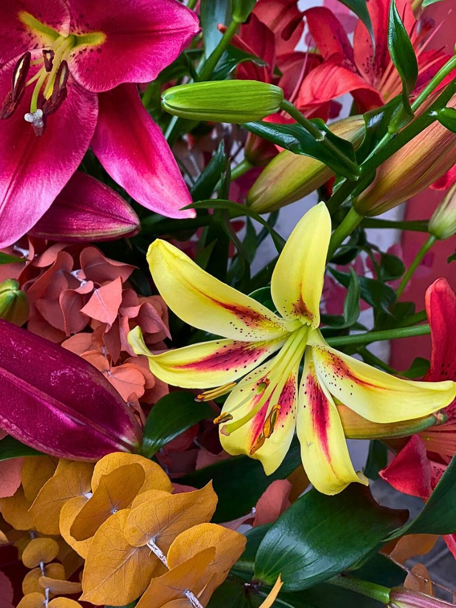 lily flower design at Bredefleur