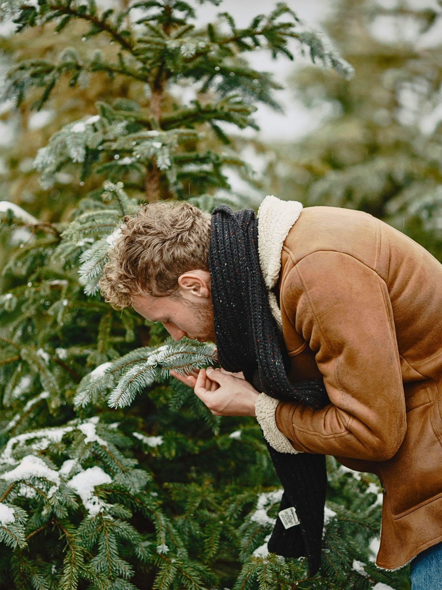 The Art of Sustainable and Ethical Foraging for Festive Greenery in Your Neighborhood