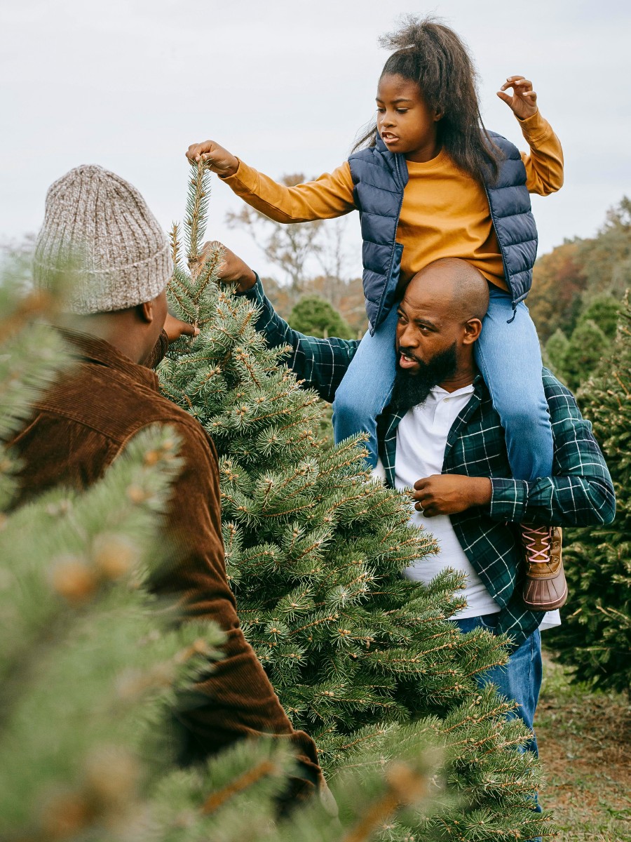 The Art of Sustainable and Ethical Foraging for Festive Greenery in Your Neighborhood