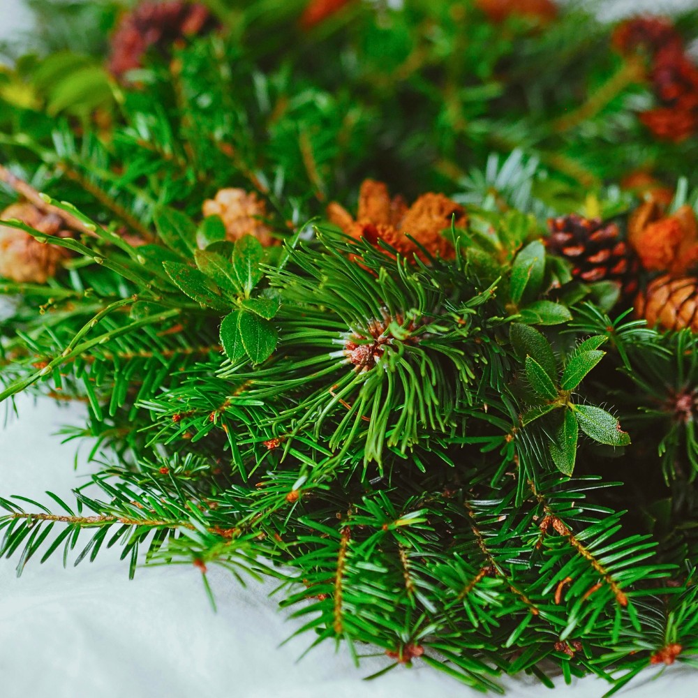 Art of Sustainable and Ethical Foraging for Festive Greenery 