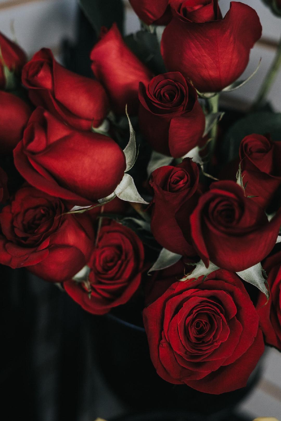 VALENTINE’S DAY TIPS FOR FLORISTS - red roses - Porch & Prairie - on thursd