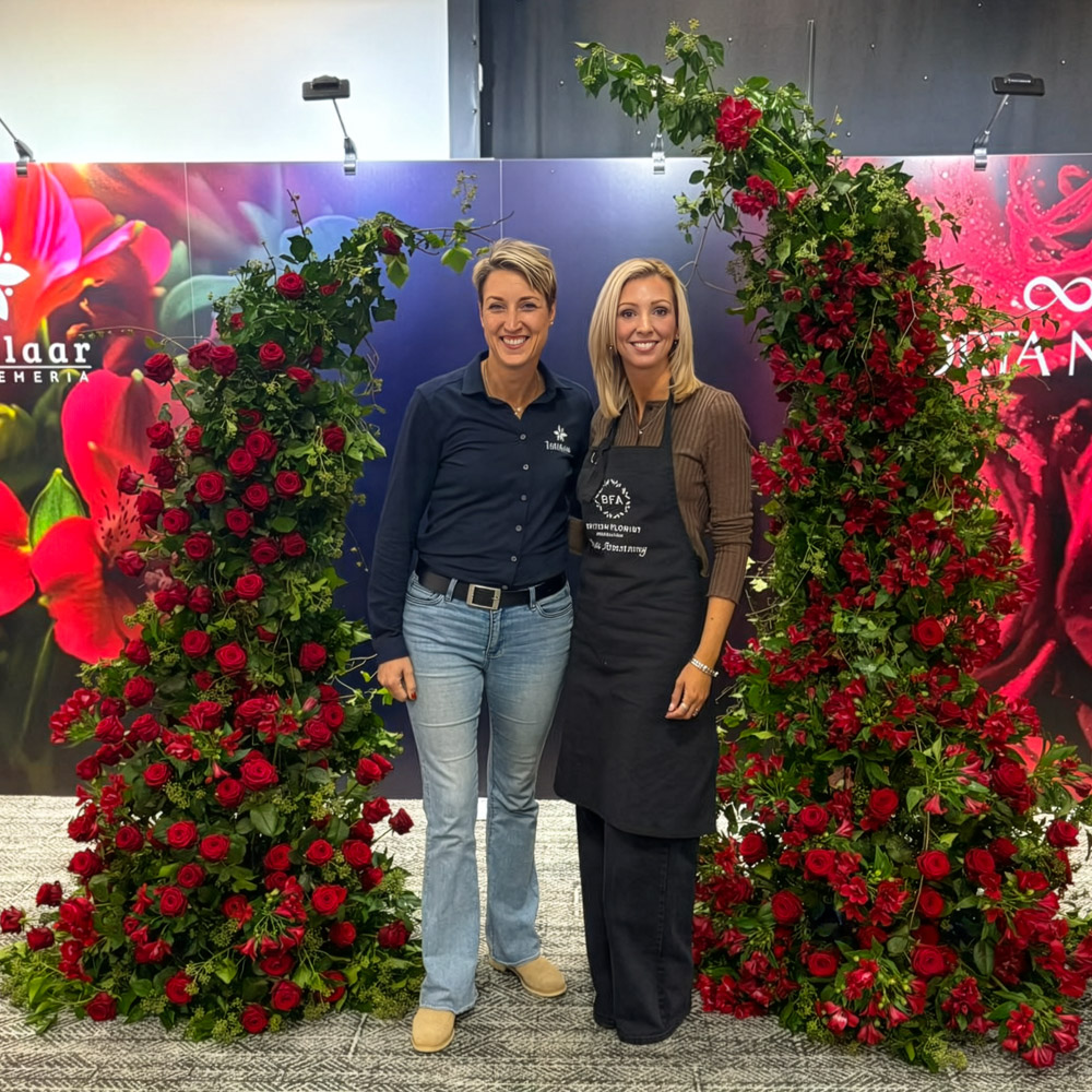 Alstroemeria Noize design by Nicola Armstrong