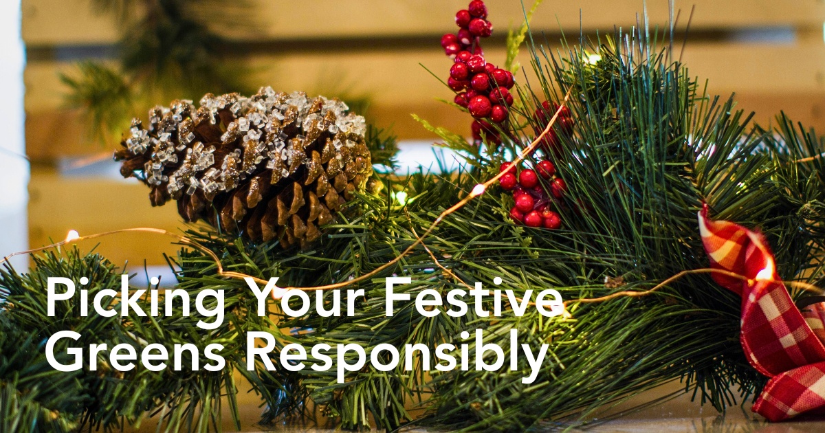 How to Easily and Sustainably Harvest Festive Greens for Decor in Your Neighborhood - Thursd Article