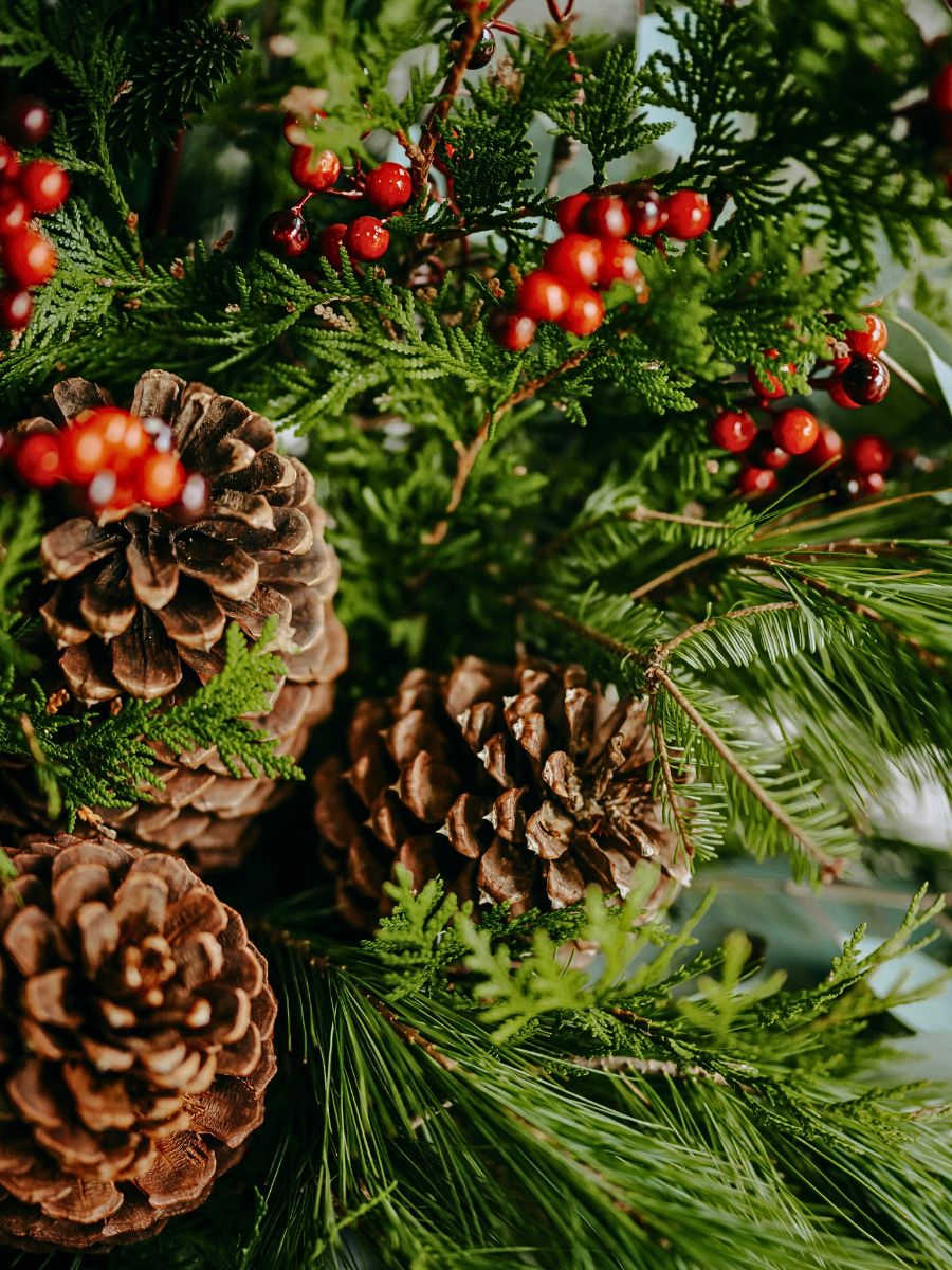 How to Easily and Sustainably Harvest Festive Greens for Decor in Your Neighborhood - Thursd Article