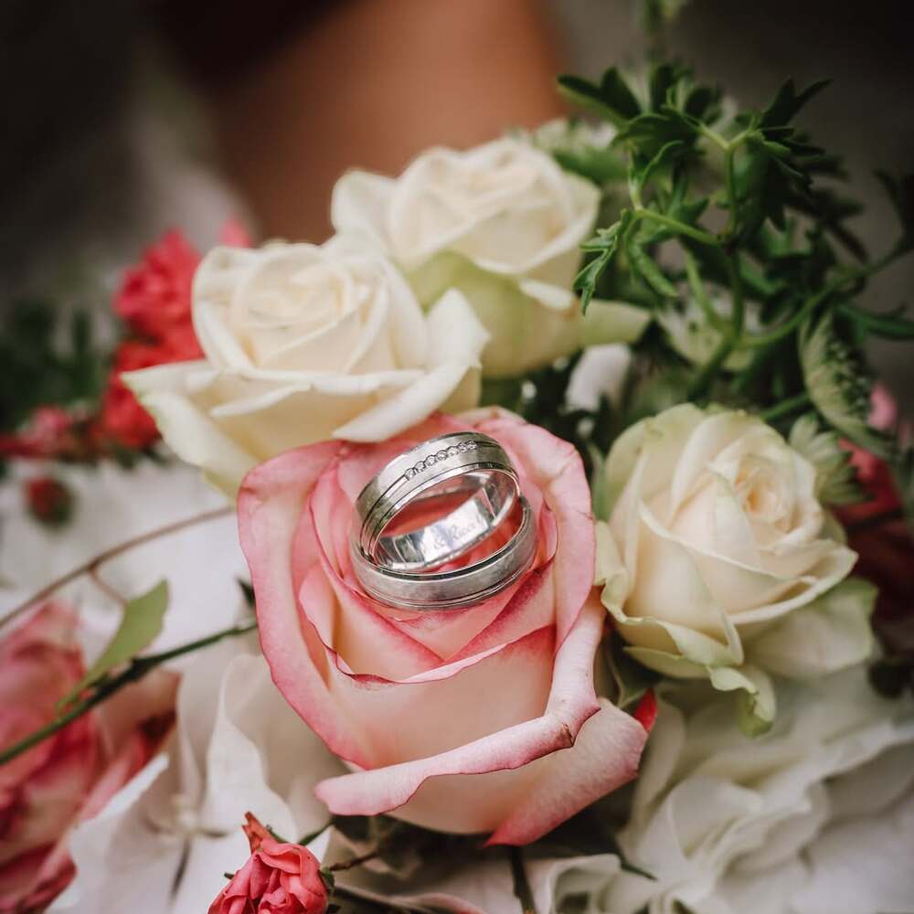  Wedding rings on pink and cream roses