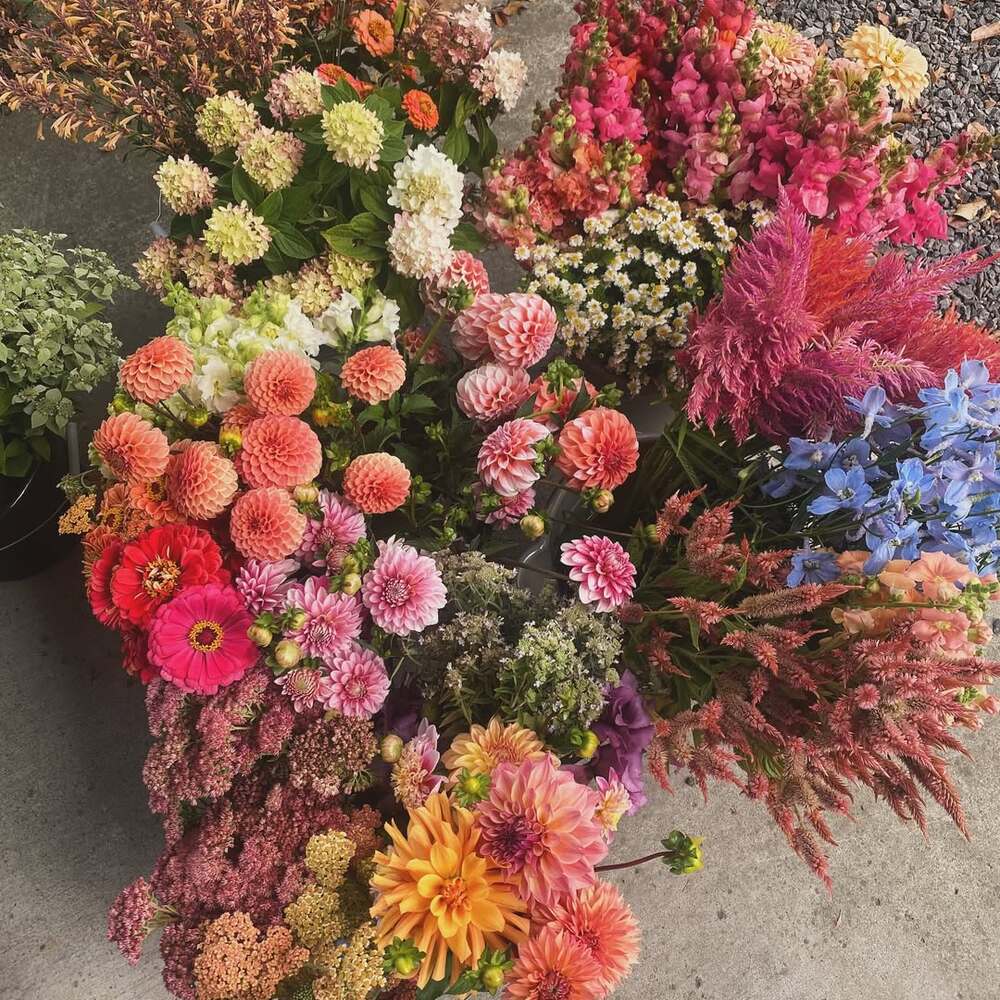 Lush, diverse flower harvest on concrete