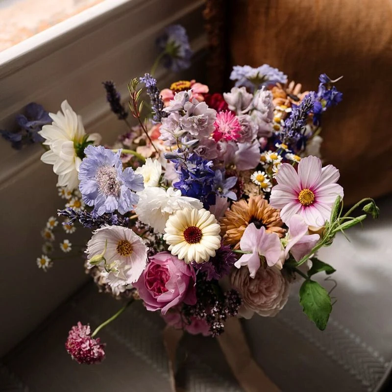 Digital Floriculture Sustainability Feature Image