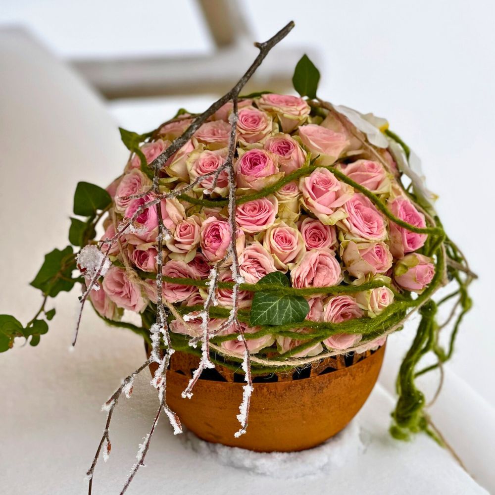 World of Spray Roses