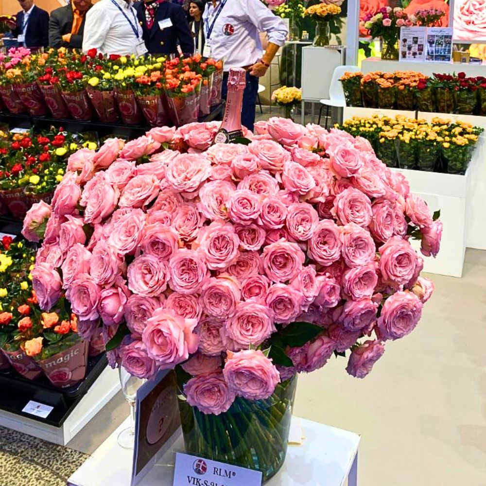 10 Questions to Mrs Kotut