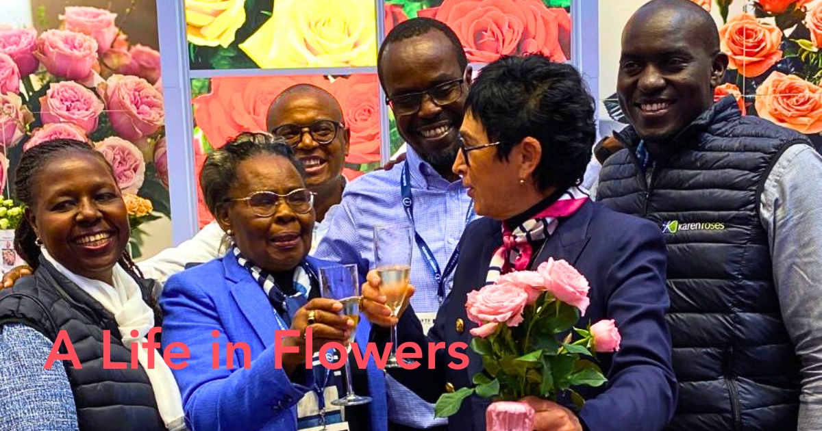 10 Questions to Mrs Kotut