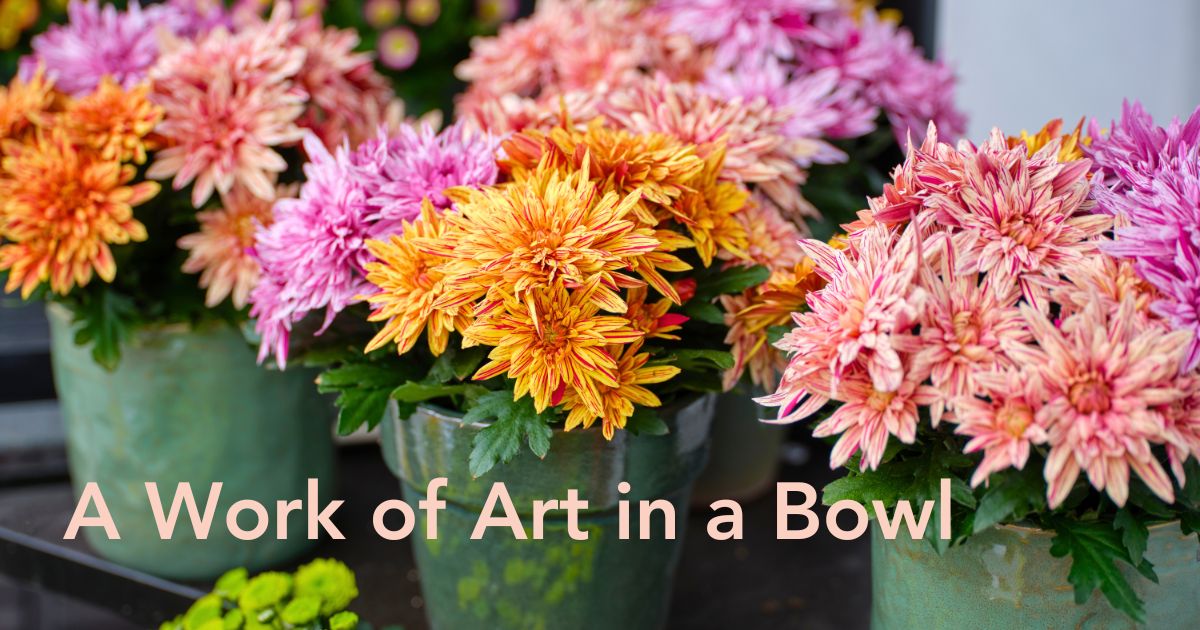 Royal Van Zanten, Coupe Royal