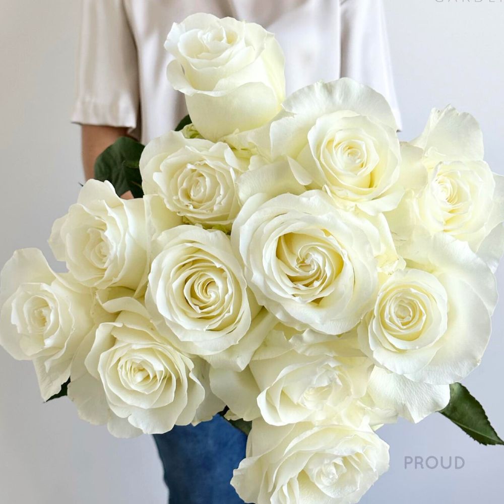 a bunch of Rose Proud