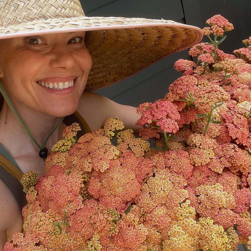 Woman holding vibrant, dense Yarrow flowers