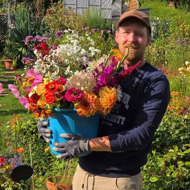 Flower Longevity Mechanized Handling Feature Image