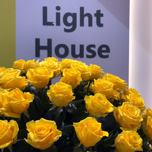 United Selections Rose Lighthouse