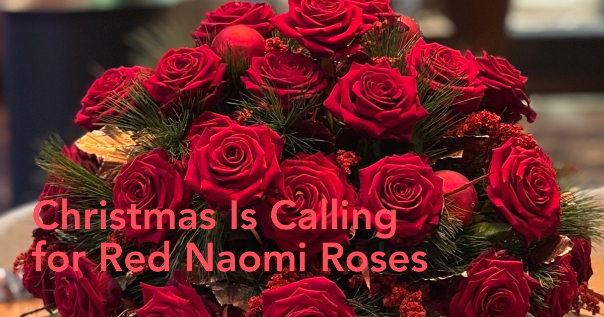 Red Naomi roses