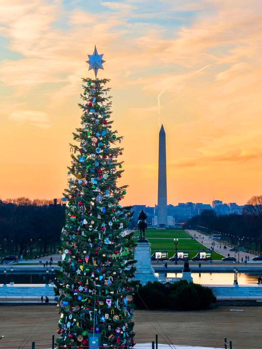 The National Christmas tree in Washington
