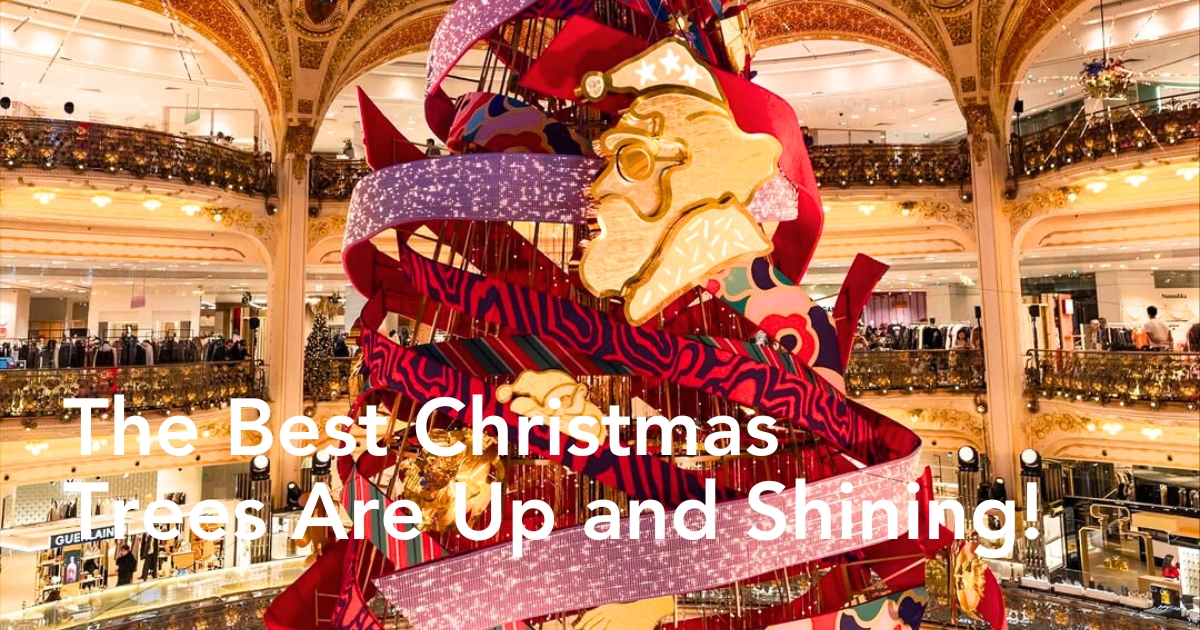 Most Iconic Trees Around the World - Thursd Article Header Image