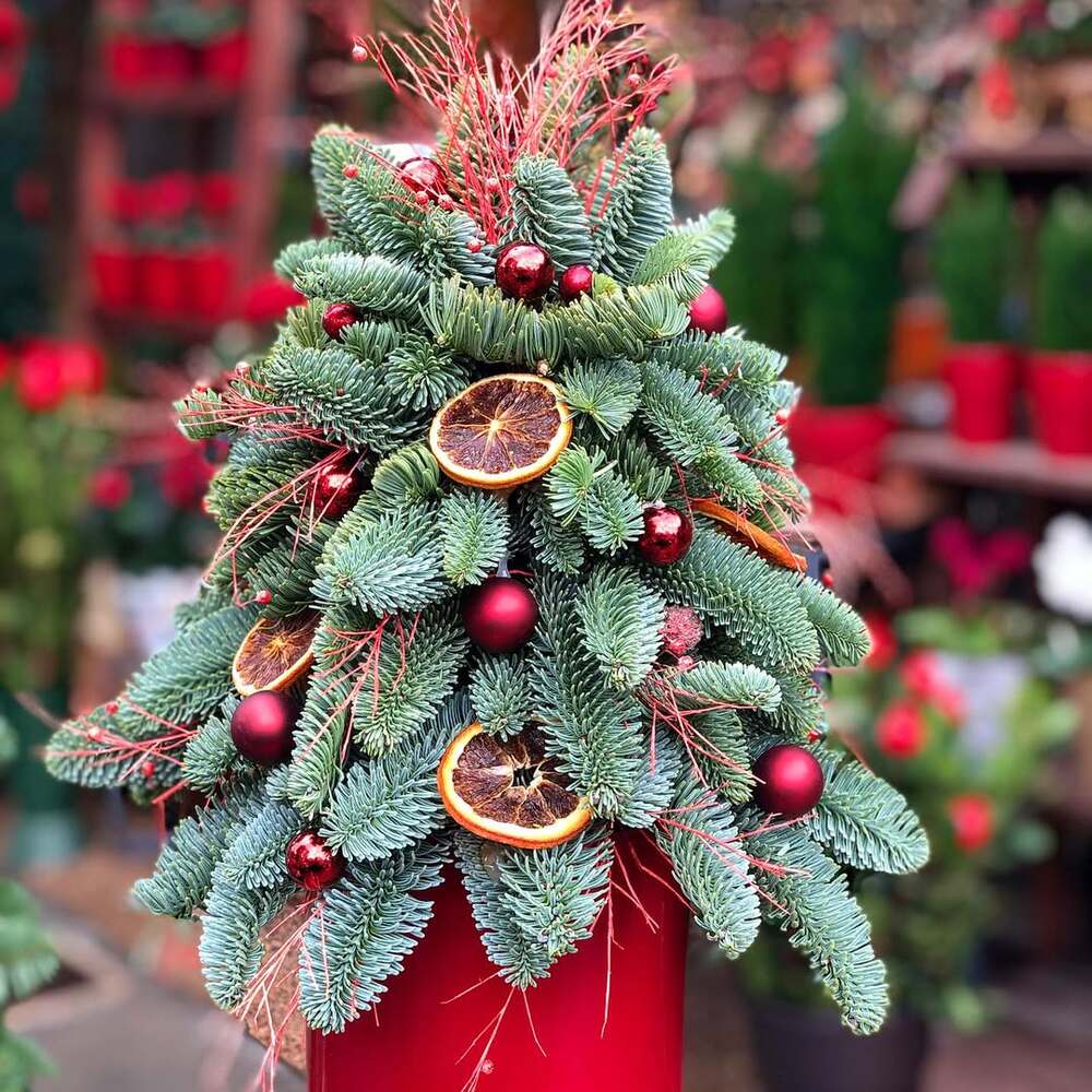  Christmas tree centerpiece with dried oranges