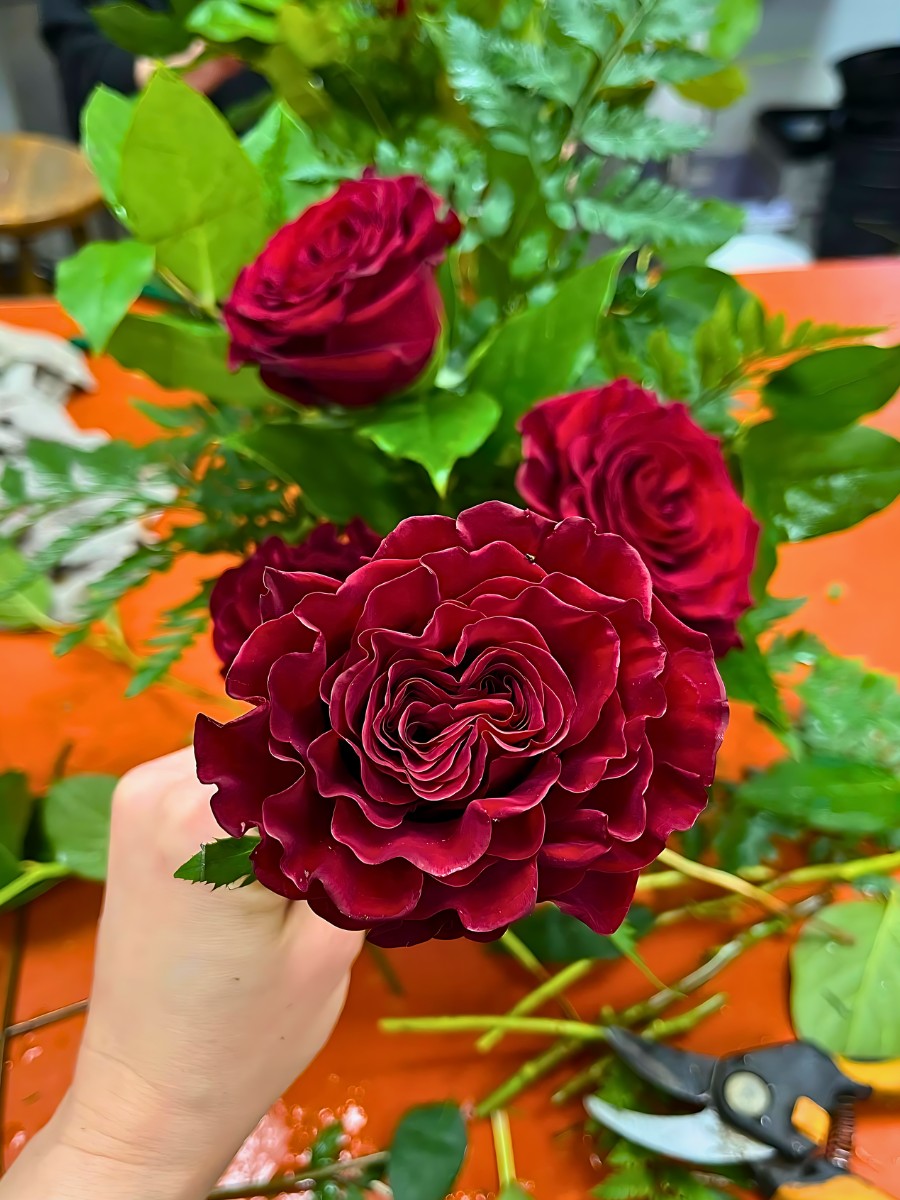 Rose Hearts from grower Rosaprima, Fontana Group, and Star Roses