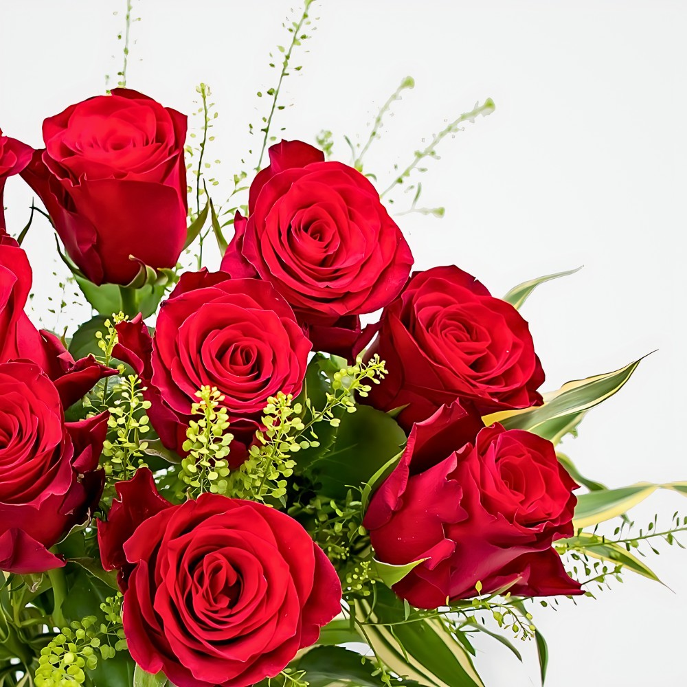 Rose Rhodos from breeder De Ruiter