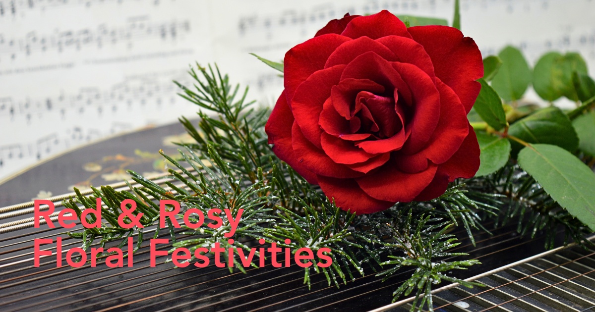 Which Are the Red Roses for Christmas Holidays and Perfect for the Festive Season?