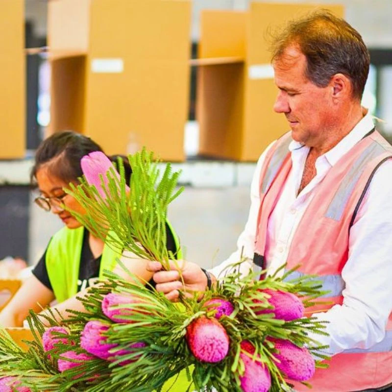 Vertical integration at Wafex featured