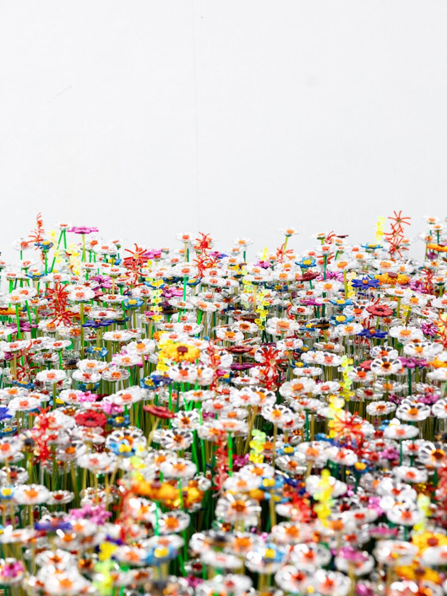 A multitude of mirrored flowers