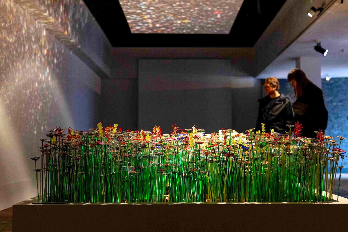 Visitors looking at the mirrored flowers