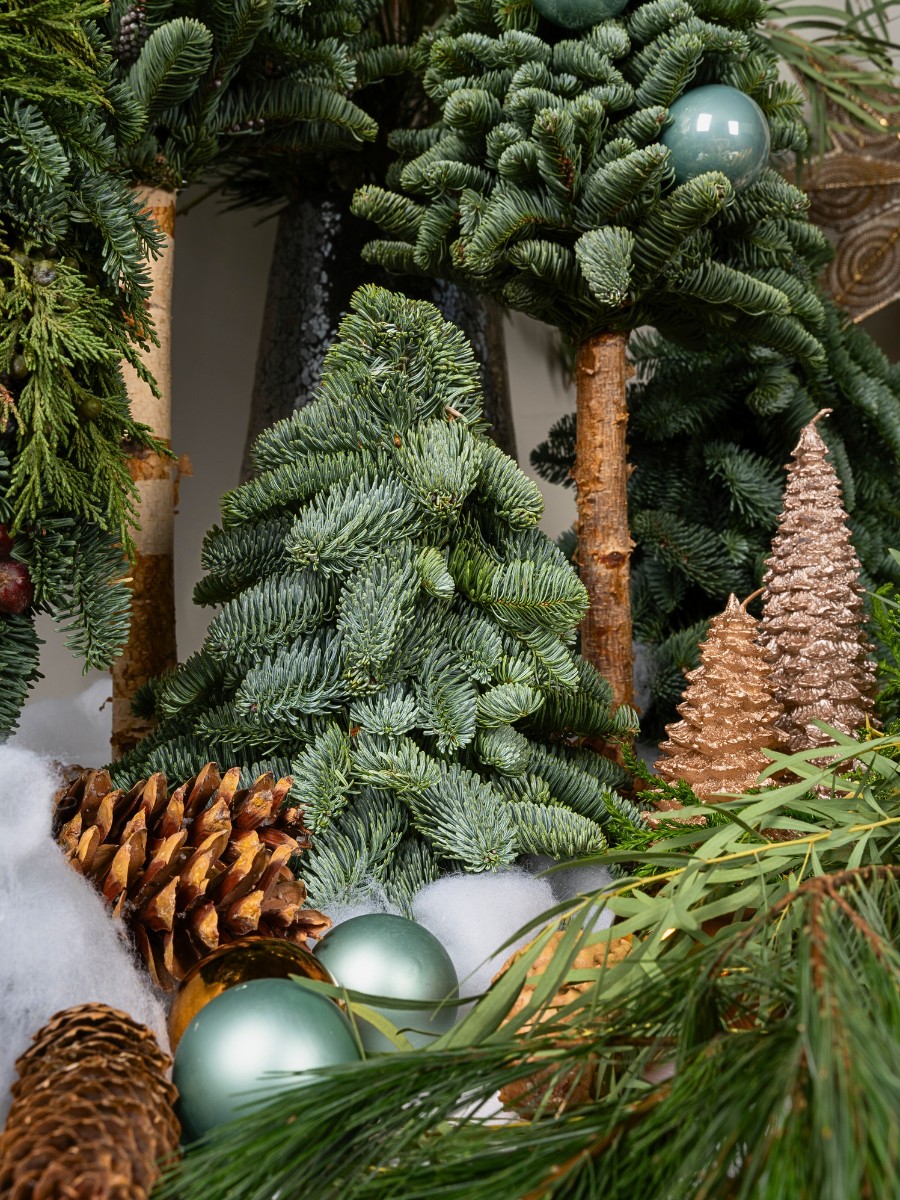 fir and other holiday decorations