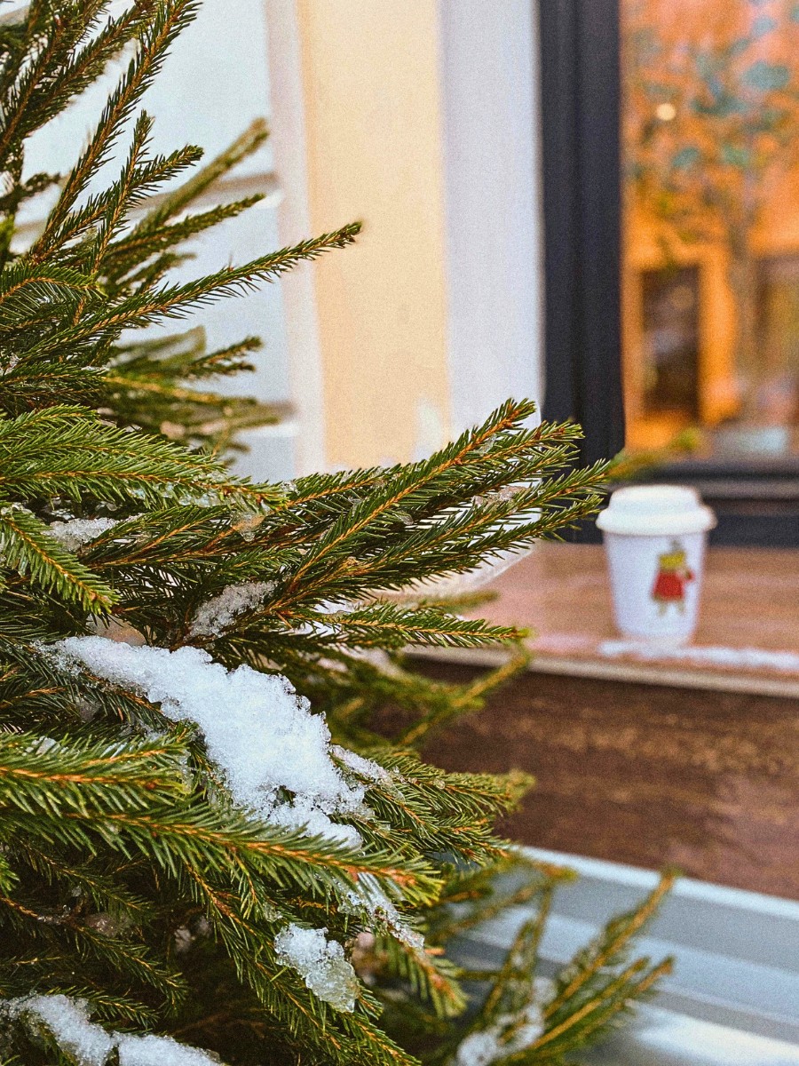 decorated christmas fir with winter snow