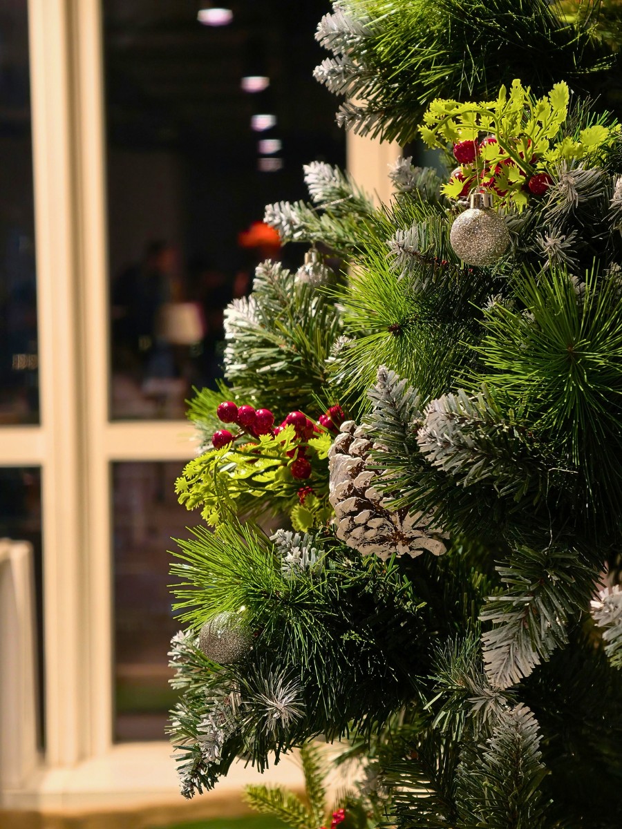 How Holiday Evergreen and Floral Scents Affect Well-Being